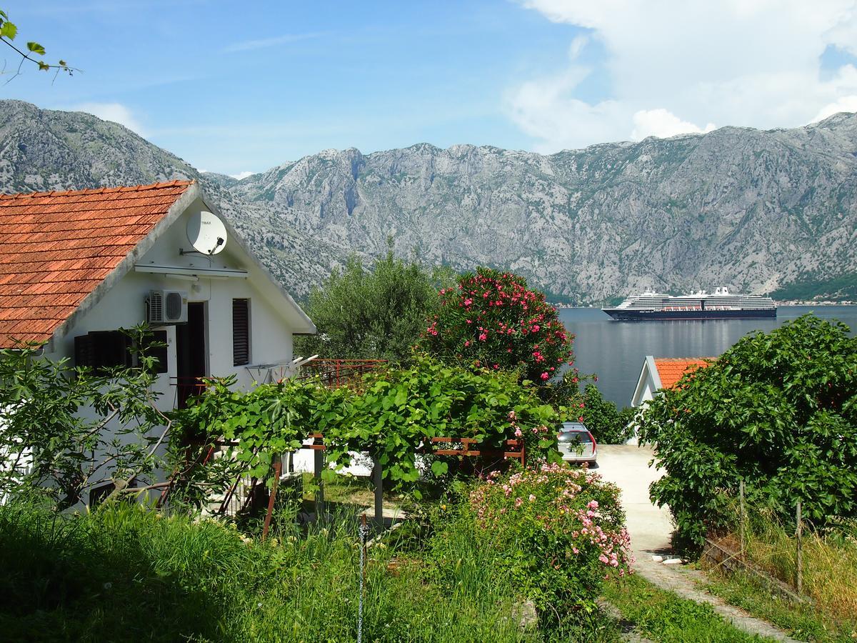 Holiday House In The Kotor Bay Zewnętrze zdjęcie
